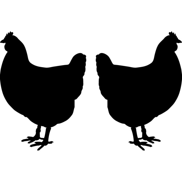 Chicken Hen Silhouette Stickers – Poultry Decals (2-Pack)