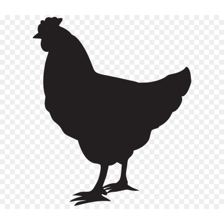 Chicken Silhouette Stickers – Hen Poultry Decals (2-Pack)