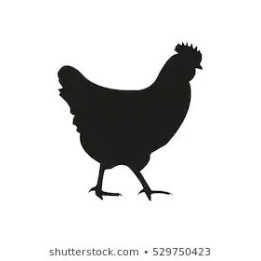 Chicken Silhouette Stickers – Hen Farm Decals (2-Pack)