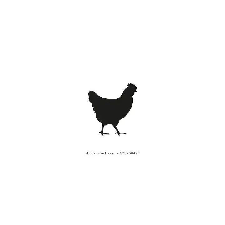 Chicken Silhouette Stickers – Hen Farm Decals (2-Pack)