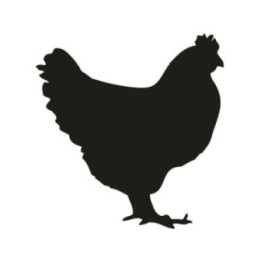 Chicken Silhouette Stickers – Hen Farm Decals (2-Pack)