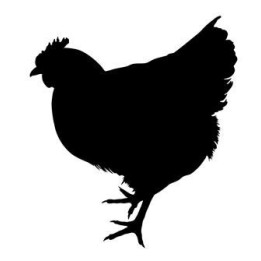 Chicken Silhouette Stickers – Hen Farm Decals (2-Pack)