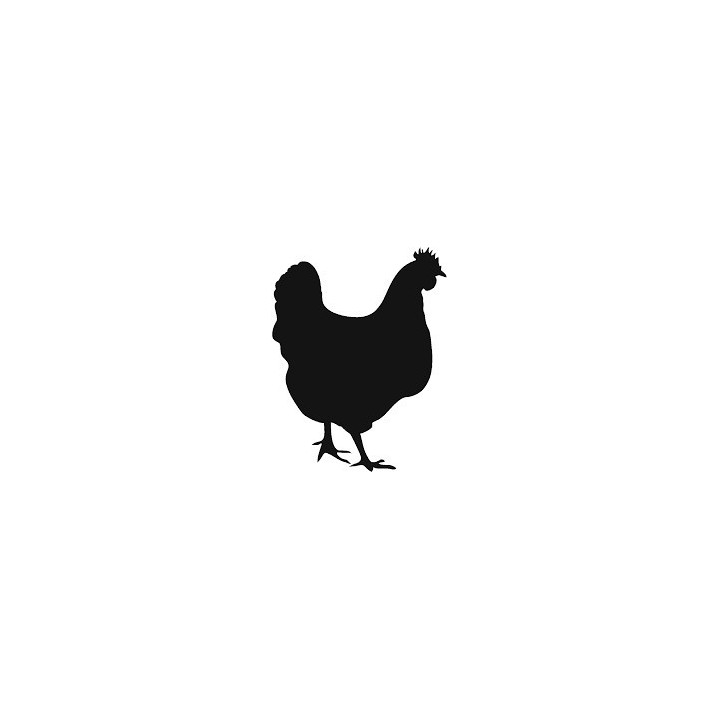 Chicken Silhouette Stickers – Hen Farm Decals (2-Pack)