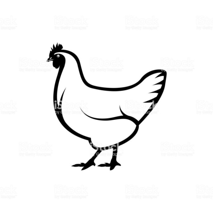 Chicken Stickers – Hen Farm Animal Decals (2-Pack)