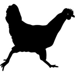 Chicken Stickers – Hen Silhouette Farm Decals (2-Pack)