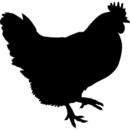 Chicken Silhouette Stickers – Hen Farmhouse Decals (2-Pack)