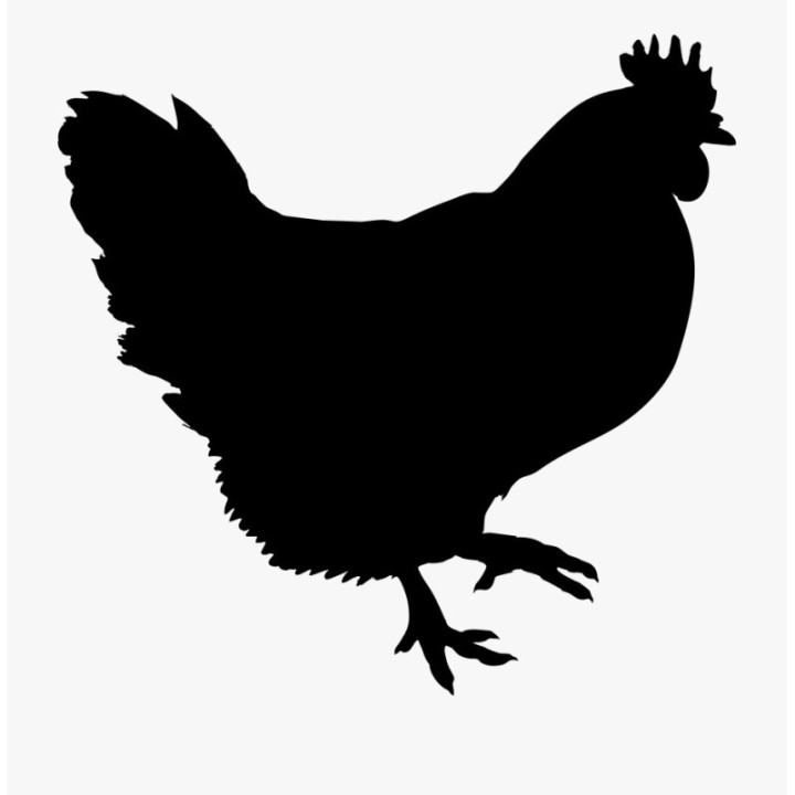 Chicken Silhouette Stickers – Hen Farm Decals (2-Pack)