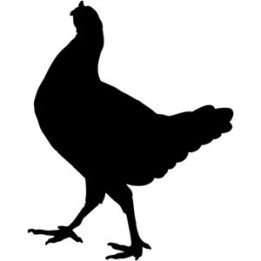 Chicken Hen Silhouette Stickers – Farm Decals (2-Pack)