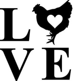 Chicken Love Stickers – Hen Lover Farm Decals (2-Pack)