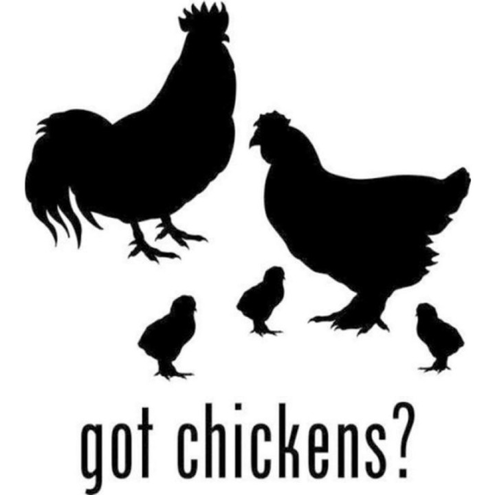 Got Chickens? Stickers – Rooster Hen Silhouette Decals (2-Pack)