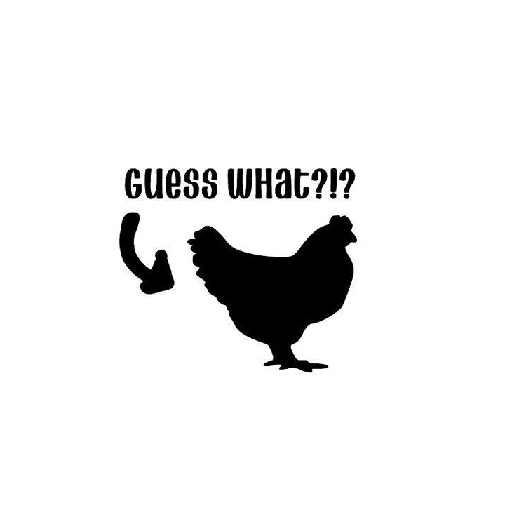 Guess What Chicken Butt Stickers – Funny Decals (2-Pack)