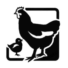 Chicken & Chick Stickers – Hen Poultry Decals (2-Pack)