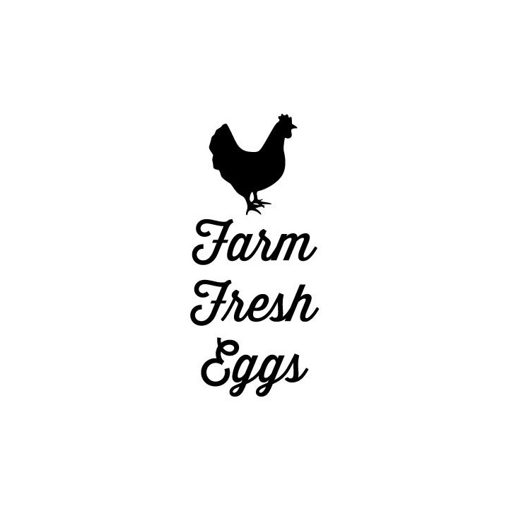 Farm Fresh Eggs Chicken Stickers – Hen Decals (2-Pack)