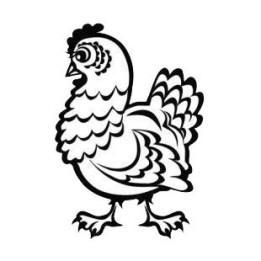 Chicken Stickers – Hen Farm Poultry Decals (2-Pack)