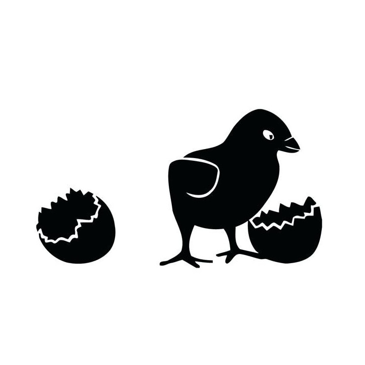 Baby Chick Hatching Stickers – Egg Shell Decals (2-Pack)