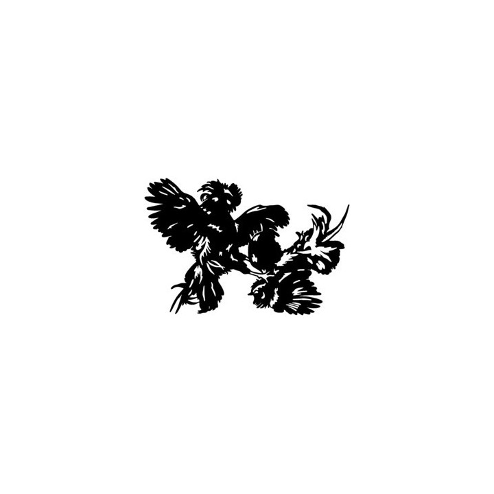 Chicken Stickers – Rooster Hen Poultry Decals (2-Pack)