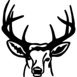 Buck Deer Vinyl Decal Sticker V11 - DecalsHouse