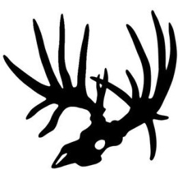Buck Deer Vinyl Decal Sticker V2 - DecalsHouse