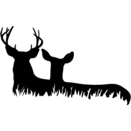 Buck Deer Vinyl Decal Sticker V20 - DecalsHouse