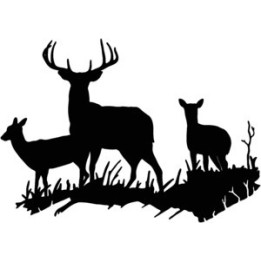 Buck Deer Vinyl Decal Sticker V27 - DecalsHouse