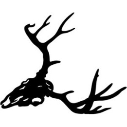 Buck Deer Vinyl Decal Sticker V36 - DecalsHouse