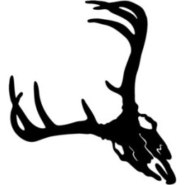 Buck Deer Vinyl Decal Sticker V37 - DecalsHouse