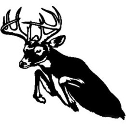 Buck Deer Vinyl Decal Sticker V4 - DecalsHouse