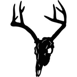 Buck Deer Vinyl Decal Sticker V41 - DecalsHouse