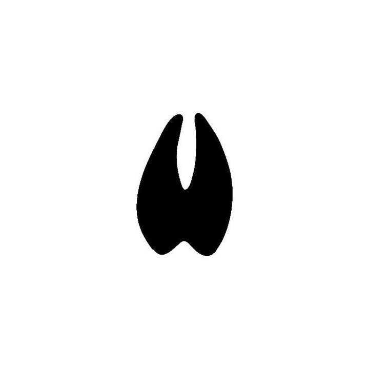 Buck Deer Vinyl Decal Sticker V43 - DecalsHouse