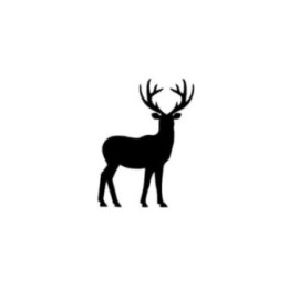 Buck Deer Vinyl Decal Sticker V52 - DecalsHouse