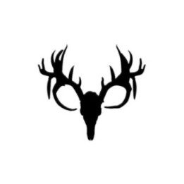 Buck Deer Vinyl Decal Sticker V55 - DecalsHouse