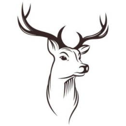 Buck Deer Vinyl Decal Sticker V68 - DecalsHouse