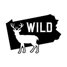 Buck Deer Vinyl Decal Sticker V74 - DecalsHouse