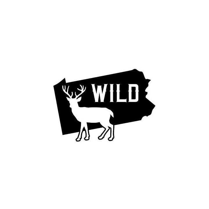 Buck Deer Vinyl Decal Sticker V74 - DecalsHouse