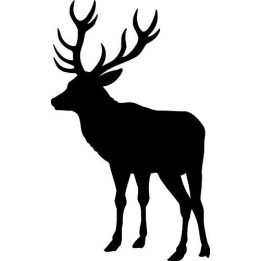 Buck Deer Vinyl Decal Sticker V75 - DecalsHouse