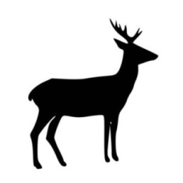 Buck Deer Vinyl Decal Sticker V77 - DecalsHouse
