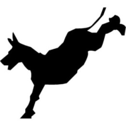 Donkey Kicking Stickers – Farm Animal Decals (2-Pack)