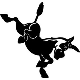 Donkey Stickers – Bucking Donkey Animal Decals (2-Pack)