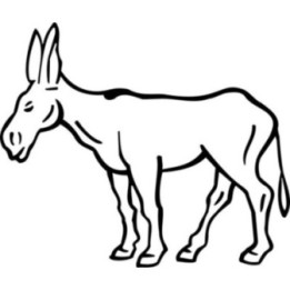 Donkey Stickers – Farm Animal Decals (2-Pack)