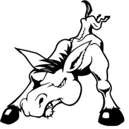 Donkey Stickers – Angry Burro Animal Decals (2-Pack)