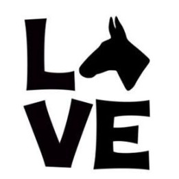 Donkey Love Stickers – Donkey Owner Decals (2-Pack)