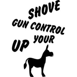 Shove Gun Control Up Your Donkey Stickers (2-Pack)