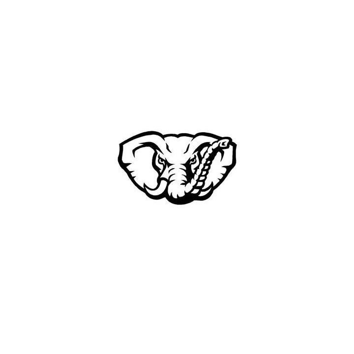 Elephant Vinyl Decal Sticker V103 - DecalsHouse