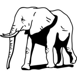 Elephant Vinyl Decal Sticker V14 - DecalsHouse