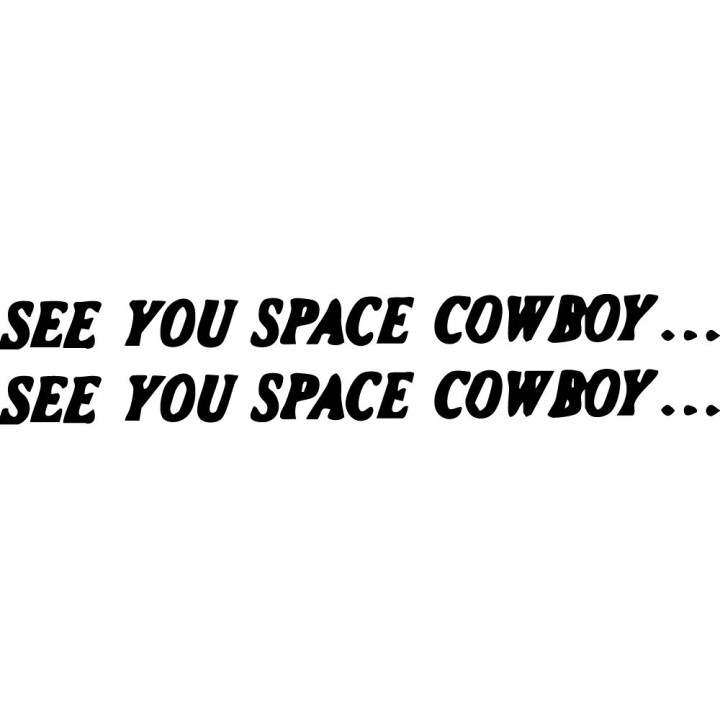 See You Space Cowboy Stickers – Cowboy Bebop Decals (2-Pack)