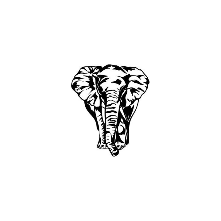 Elephant Vinyl Decal Sticker V34 - DecalsHouse