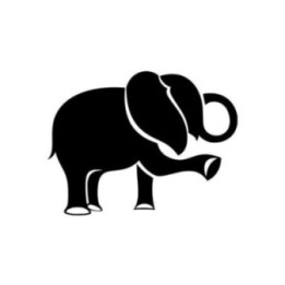 Elephant Vinyl Decal Sticker V36 - DecalsHouse