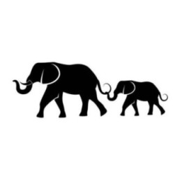 Elephant Vinyl Decal Sticker V42 - DecalsHouse