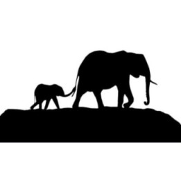 Elephant Vinyl Decal Sticker V65 - DecalsHouse