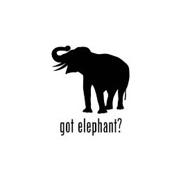 Elephant Vinyl Decal Sticker V81 - DecalsHouse